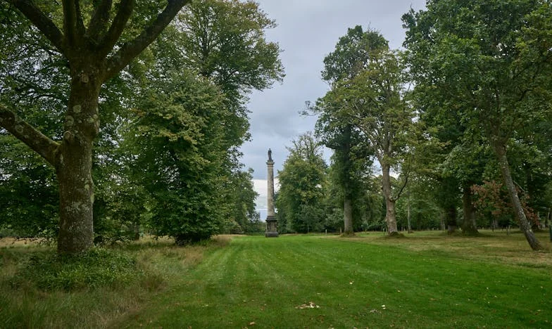Két világ között: Vajon szembe tudok nézni a férjem szüleivel a fájdalmas igazság után?