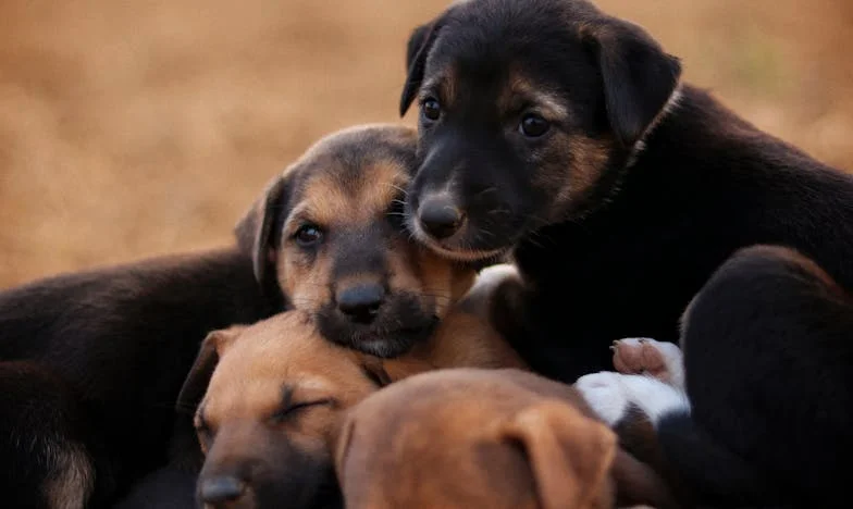 Meghívtam a volt menyemet – most a fiam idegen lett számomra. Tényleg el lehet veszíteni a saját gyerekünket a jóság miatt?