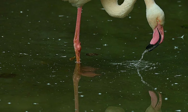 Nem csak beteg vagyok: Az éjszaka, amikor mindent elvesztettem – és újra megtaláltam önmagam