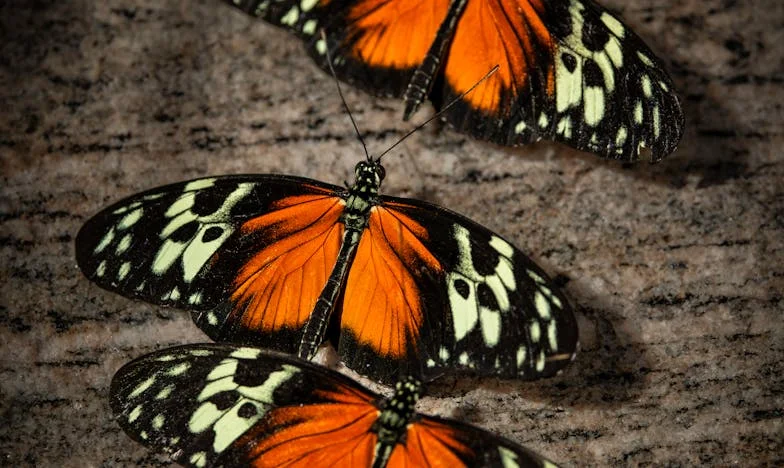 Nem hívtak meg a fiam esküvőjére, de támaszként mégis számítanak rám – Egy anya fájdalmas vallomása