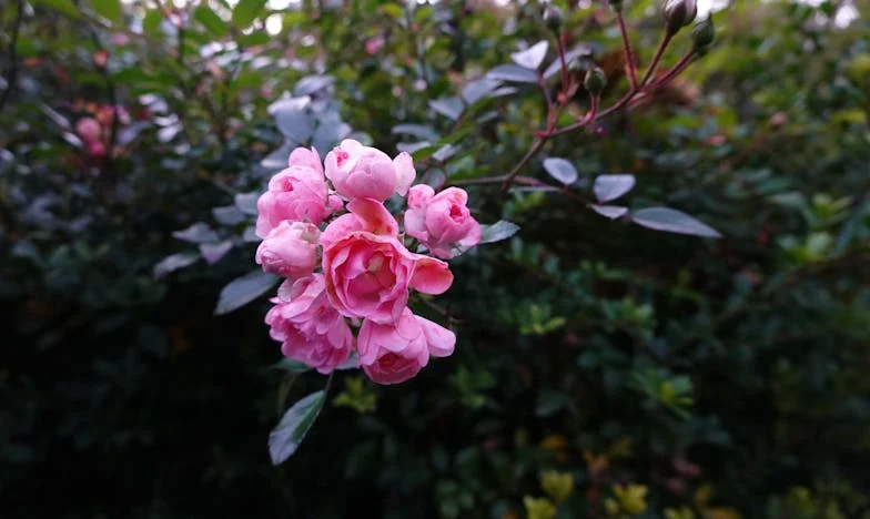 "Nem vagyok bébiszitter, sem házvezetőnő: A lányom elfelejtette, hogy nekem is van saját életem" – Egy magyar nagymama vallomása