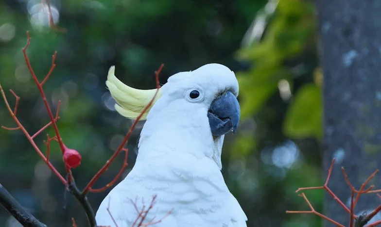 Az esküvői beszéd, ami mindent megváltoztatott: Miért maradtak üresen az asztalok?