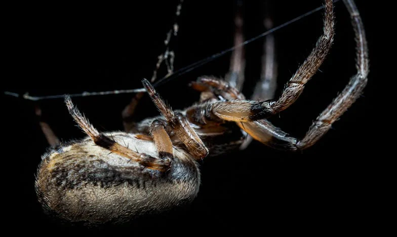 Dédapám új felesége miatt elveszítettük a családunkat – Egy unoka fájdalmas vallomása