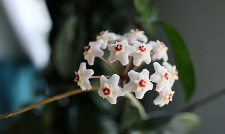 Egy anya szíve két tűz között: Amikor a titok mindent elpusztíthat