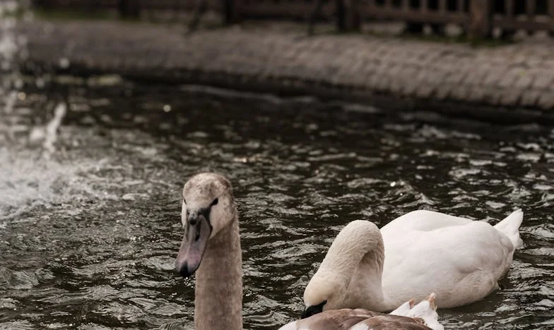 Eladtam a lakásomat, hogy segítsek a fiamnak – de közben elveszítettem önmagam: Egy anya vallomása áldozatról, félreértésekről és újrakezdésről