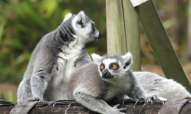 Két világ között: Egy anya szíve, amikor a család szétszakad – Vajon lehet egyszerre jó anya és jó feleség?