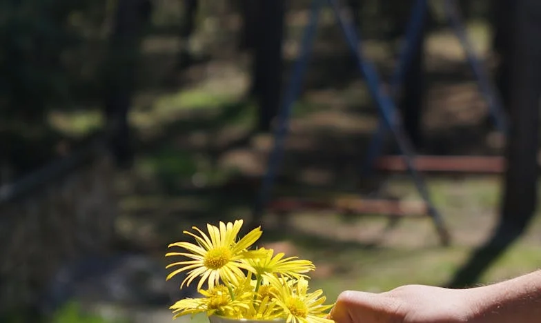 Menekülés az éjszakában: Amikor a barátság is cserbenhagy