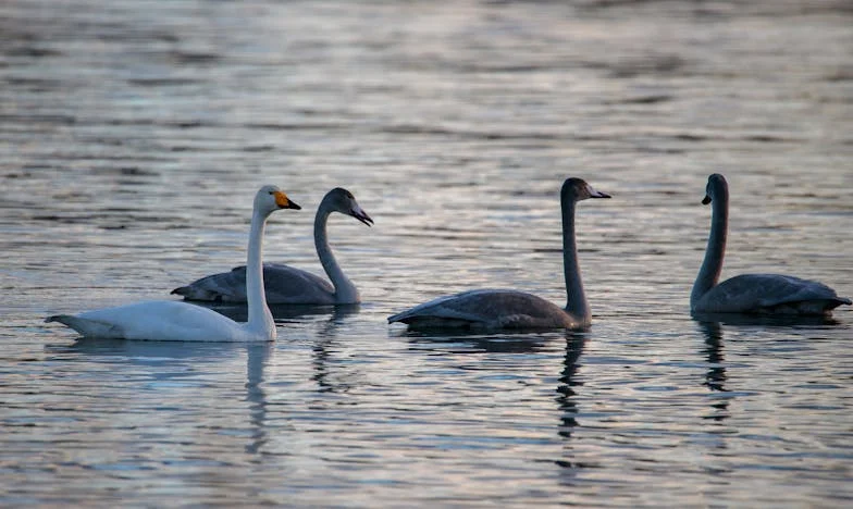 „Nem jövünk érte” – Egy testvér árnyékában: Amikor a család elfordul, és neked kell döntened