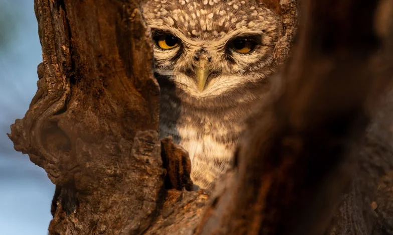 Váratlan ajánlat: Az exférjem terve a lányunk jövőjére – de milyen áron?