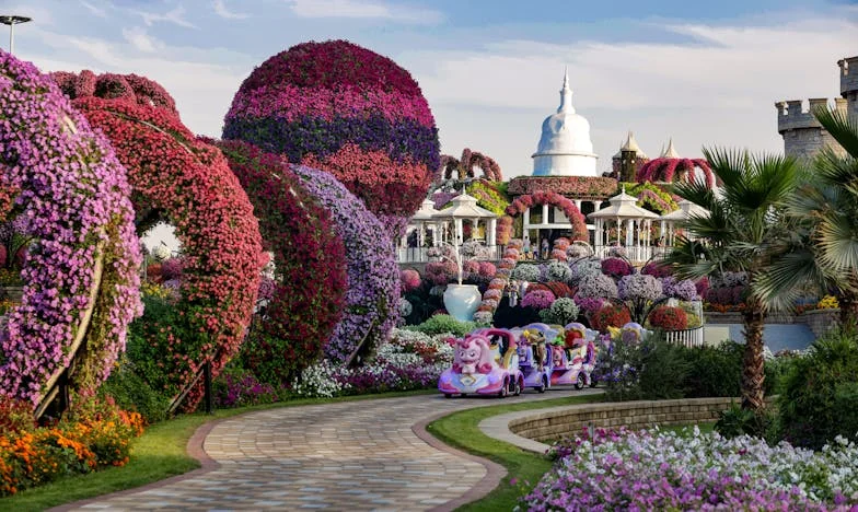 Váratlan örökség: Egy idegen, aki mindent megváltoztatott – Az én történetem