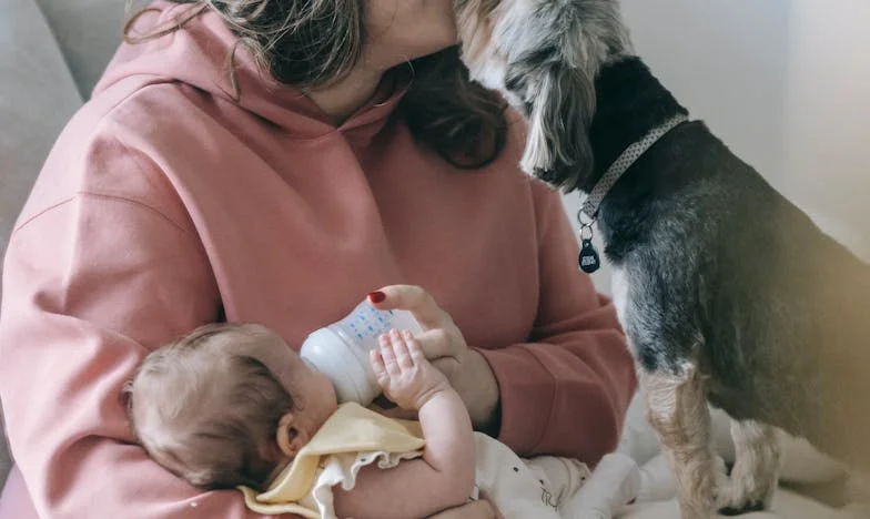 Anyám pénzt kért az unokája felügyeletéért – széthullik a családunk?