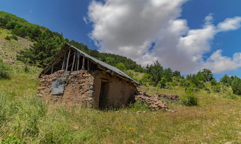 Una sola frase de mi marido lo cambió todo: crónica de una vida rota y reconstruida