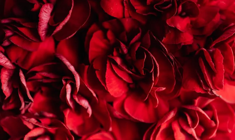El precio de la herencia: Entre el amor y la traición