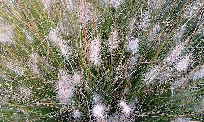 Cinco años en la sombra: Cómo busqué a mi hija Lucía