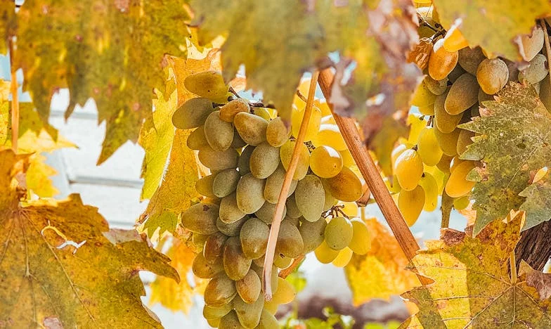 Cuando la vida te da la espalda: La historia de Lucía, madre sola en los barrios de Madrid