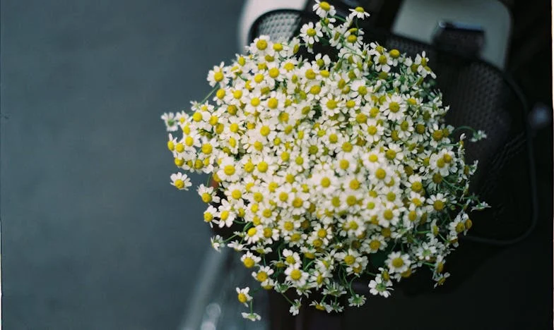 El día que dije basta: Mi vida con mi cuñada Laura