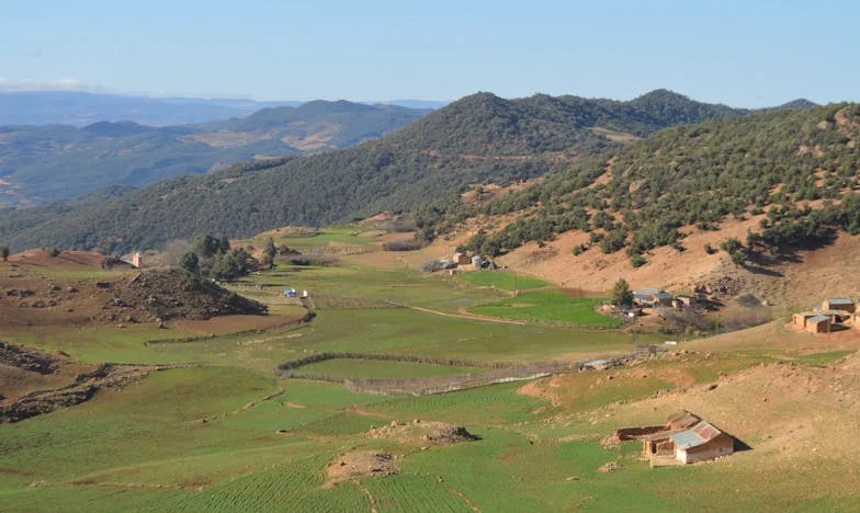 El precio del silencio: El coste de un matrimonio