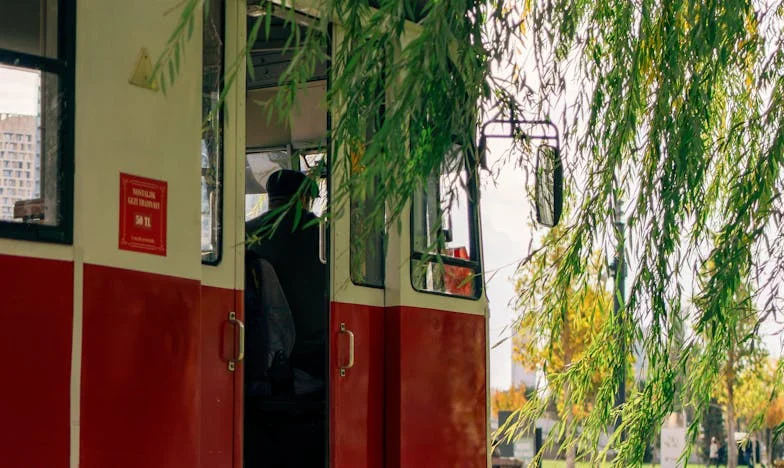 El precio del silencio: Mi familia me culpa por proteger a mi hermana