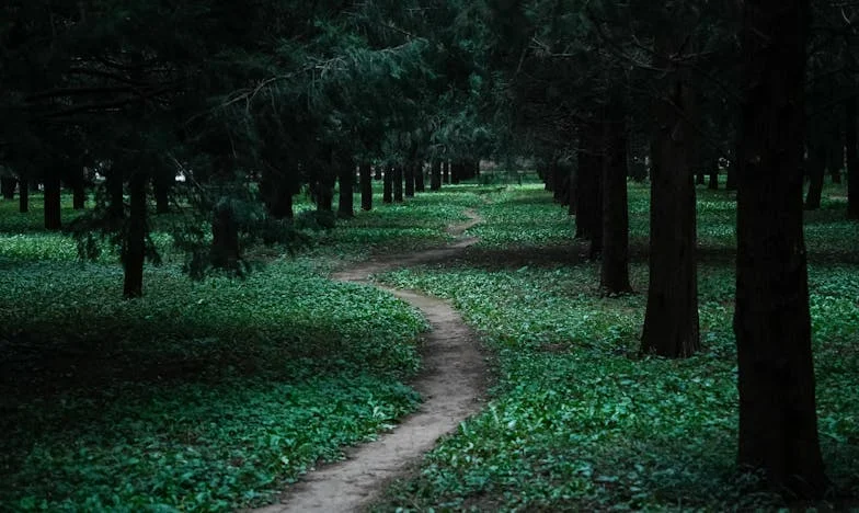Entre el orgullo y el amor: La noche en que mi familia se rompió