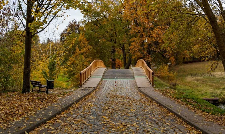 La Navidad en la que dije basta: el día que me rebelé contra mi suegra