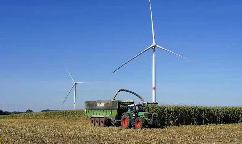 Mi madre eligió a su nuevo marido antes que a sus nietos: el día que todo cambió en casa