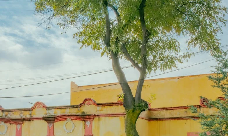 No sabíamos lo que nos esperaba cuando mandamos a los niños con la abuela