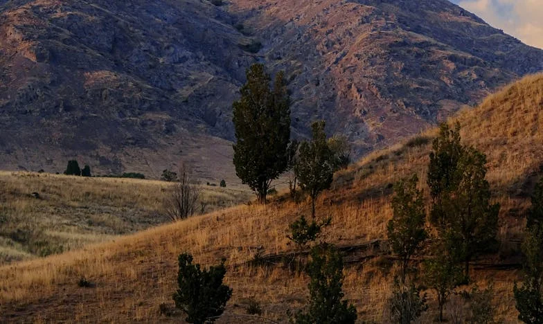 ¿Se puede perdonar lo imperdonable?