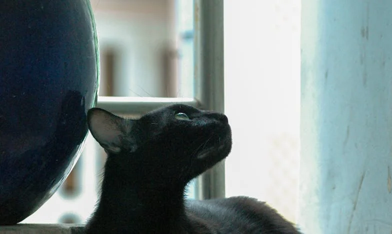 Un Minuto Tarde, Un Día Perdido: Mi Vida Bajo el Reloj de Carmen