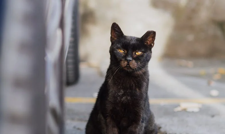 Vacaciones que rompieron mi familia: El verano en que mi madre eligió a uno de sus nietos