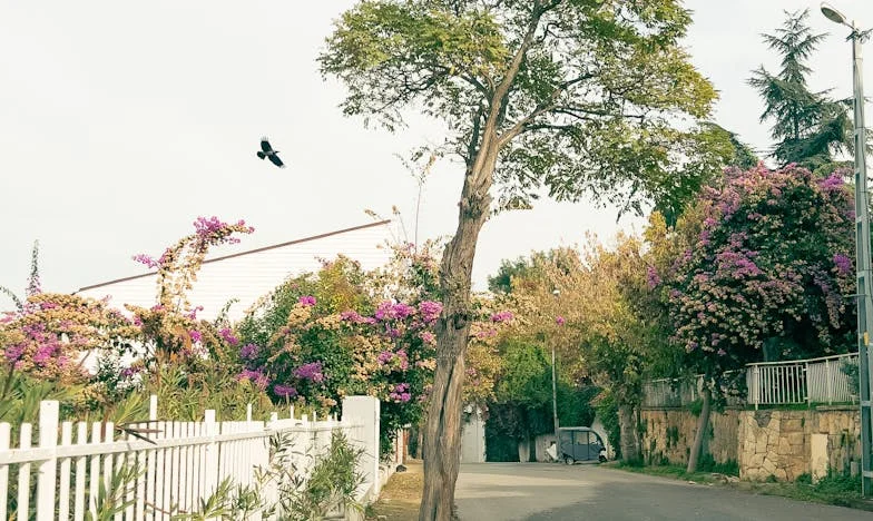 Cinco años con la madre de mi nuera: una vida que nunca imaginé