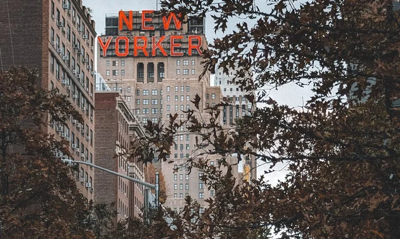 Cuando la verdad llama a la puerta: El día que conocí al hijo de mi marido