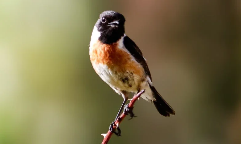 Demasiado para mí: Cuando el amor de mis padres era una deuda imposible