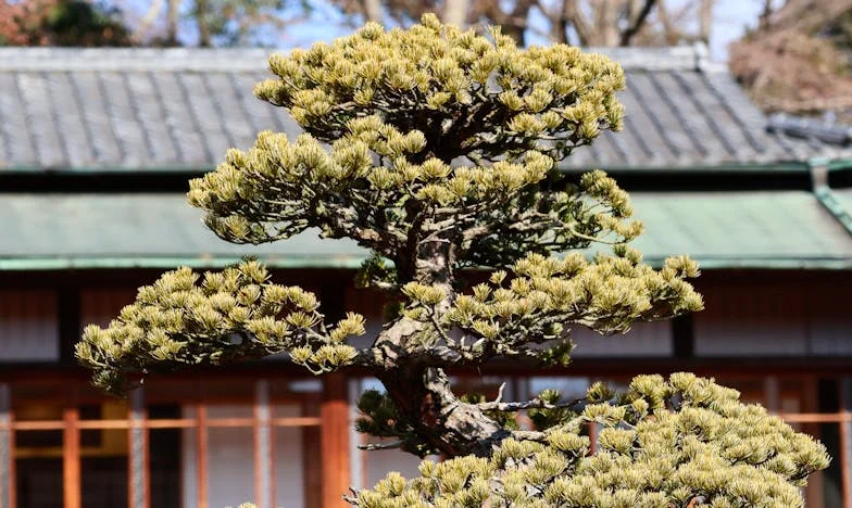 El día que Miguel no volvió