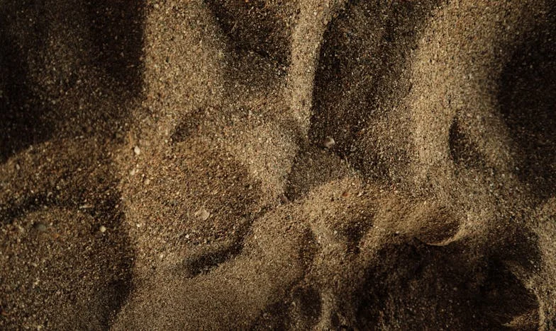 El día que volví sin avisar: una traición en mi propio hogar