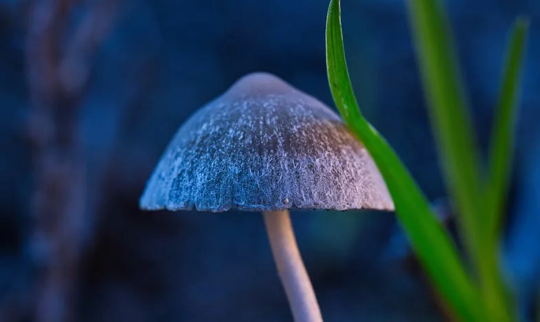 El invitado inesperado: Un fin de semana que lo cambió todo