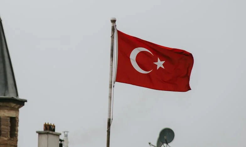 El portal de la esperanza: Cómo Carmen me salvó de la soledad