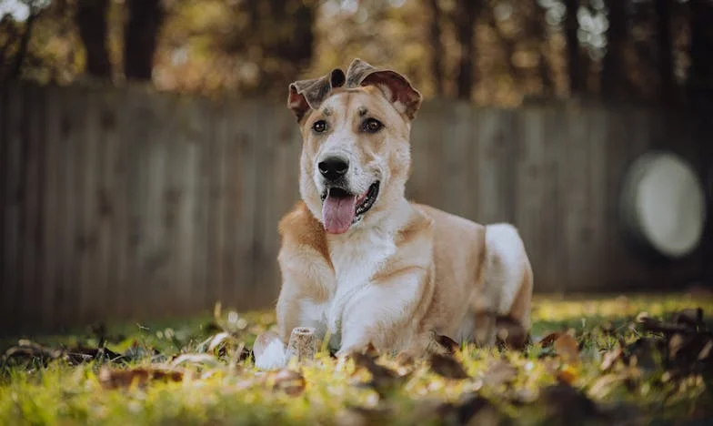 El regalo que rompió el silencio: una historia de orgullo y perdón en mi familia