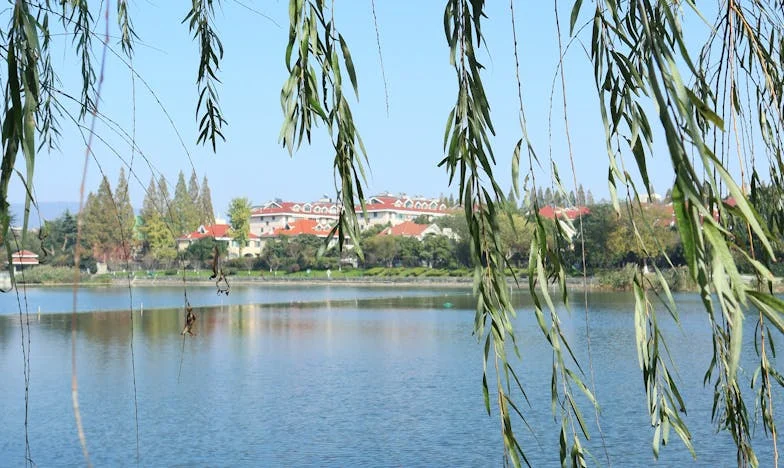 El Silencio de Lucía: Secretos Bajo la Piel