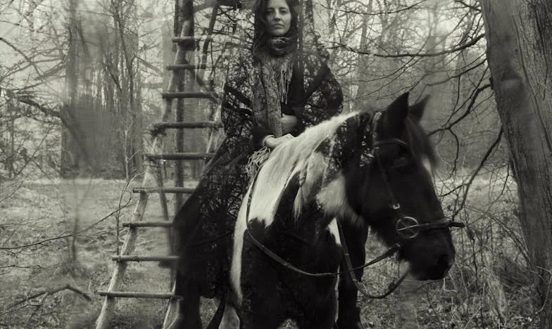 El último brindis: Un divorcio tras 35 años de matrimonio