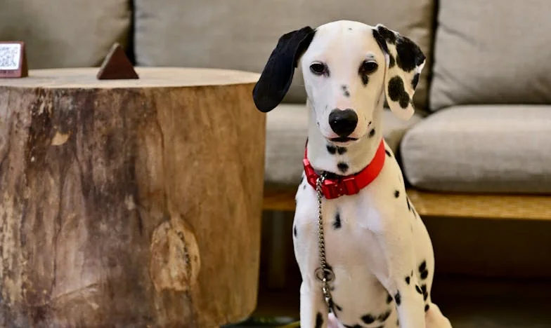 En el umbral: Cuando una madre deja de ser bienvenida