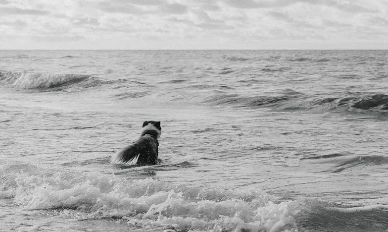 Entre el deber y el amor: El dilema de una madre española