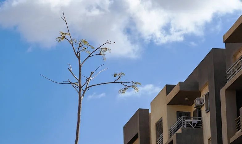 Entre la fe y el desahucio: Mi batalla por el hogar de mi familia