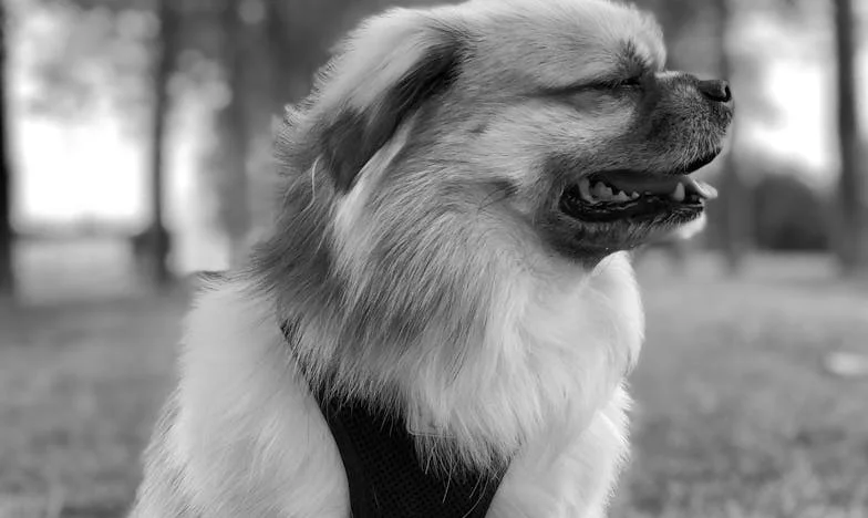 Entre la Fe y el Olvido: Mi Lucha por Cuidar a Mamá