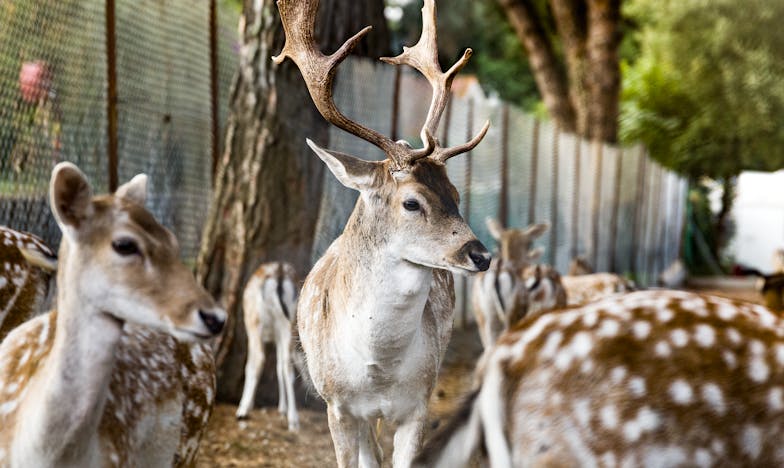 Huella ajena en mi hogar: Confesiones desde un pueblo de la sierra