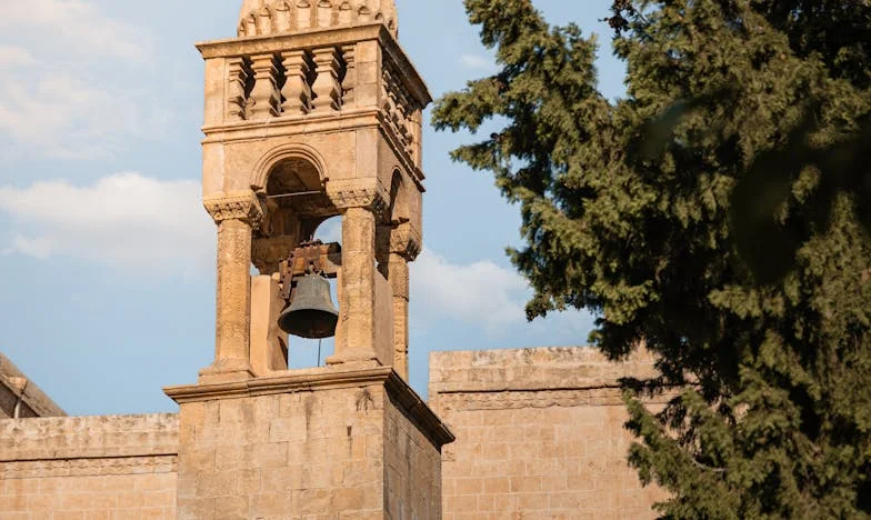 Idos, que yo os alcanzo – Una historia de secretos familiares y decepciones