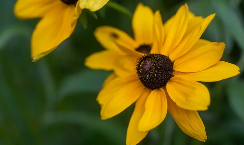 Justicia de madre: Cuando el amor no basta – La historia de una nuera en una familia española
