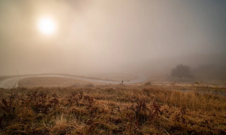 La cicatriz que nunca sanó