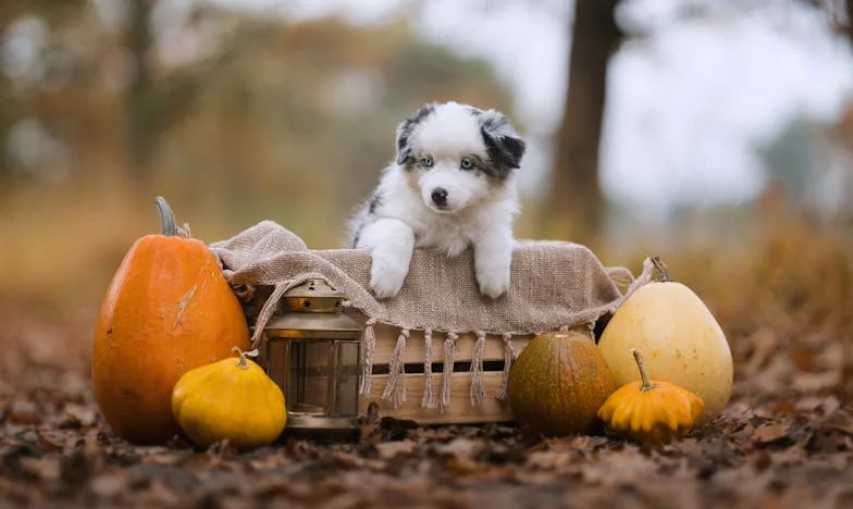 Las llaves de la discordia: Cuando mi madre rompió mi matrimonio