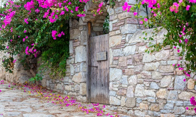 Lo que siembras, recoges: Un mes de arroz y reproches