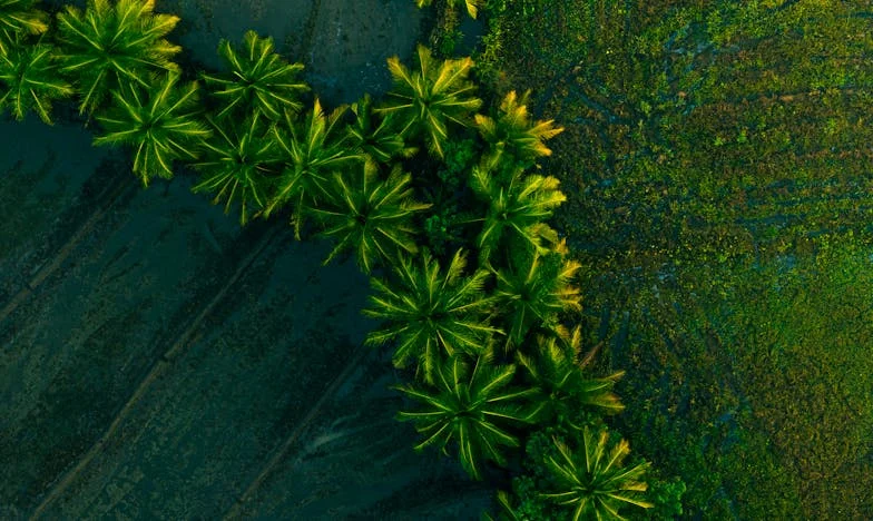 Mi cumpleaños no es de la familia – La rebelión de una mujer española contra las expectativas familiares